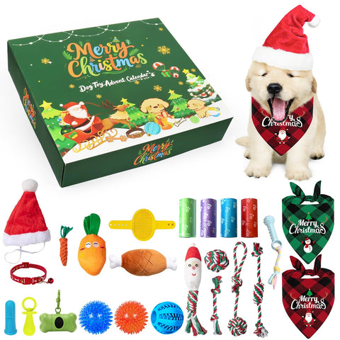 PARSUP front packaging of advent calendar showing festive box and branding, great gifting