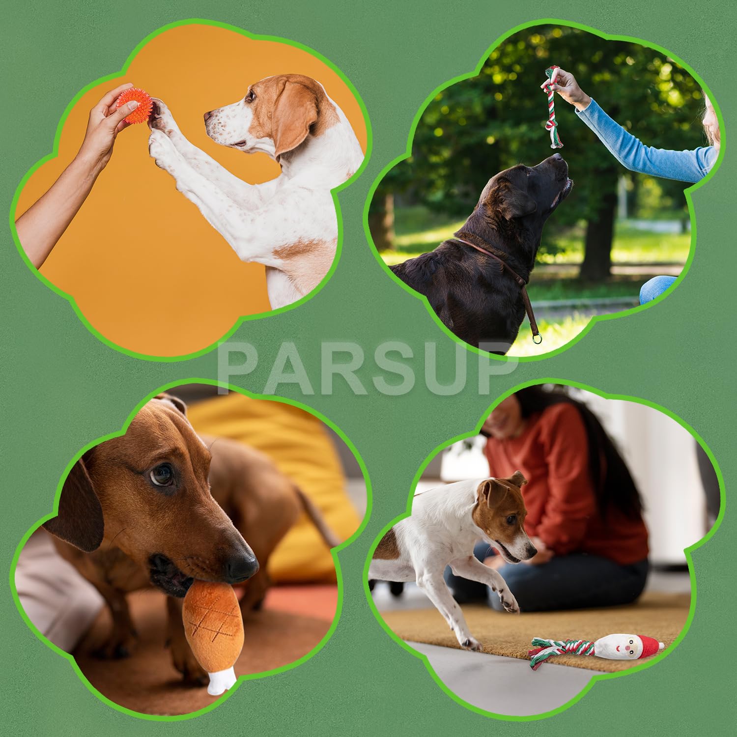 PARSUP dog in holiday playroom using toys, illustrating bonding and seasonal fun