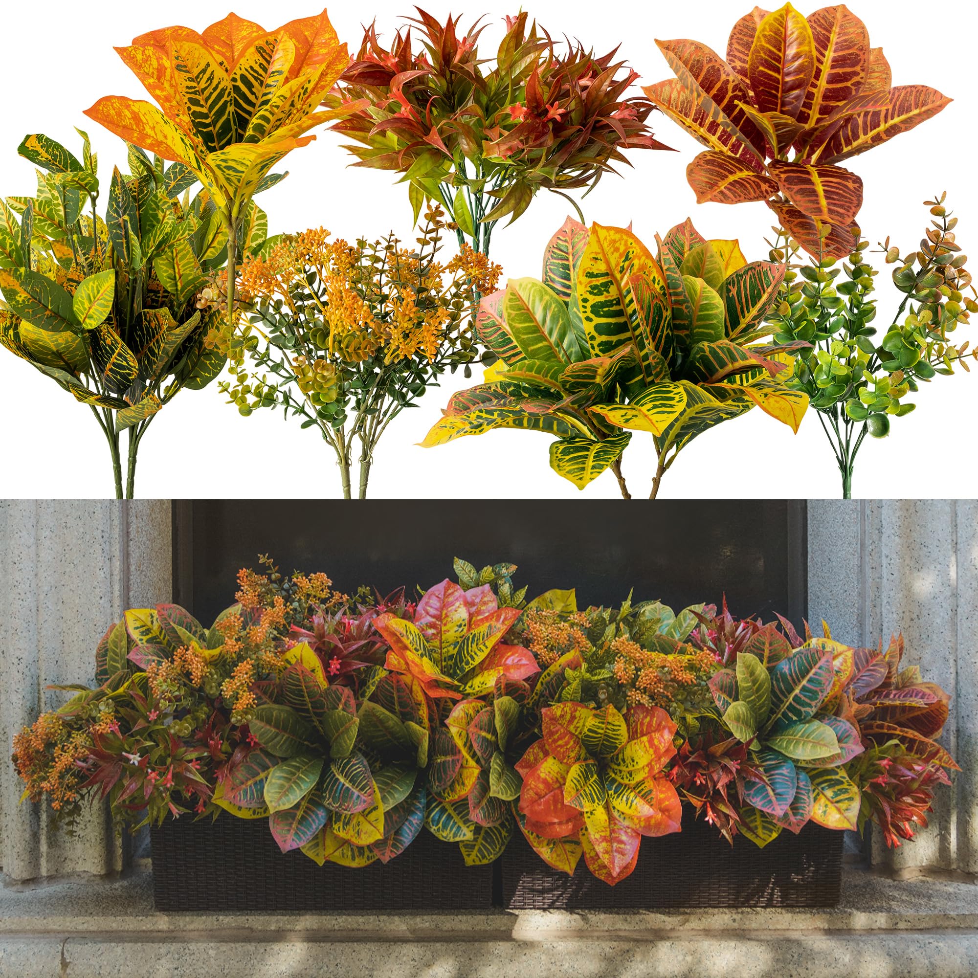 PARTY JOY front view of fall bunches showing full set and colors for instant curb appeal
