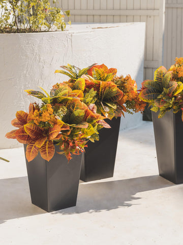 PARTY JOY all 12 stems laid out to show variety and options for decorating