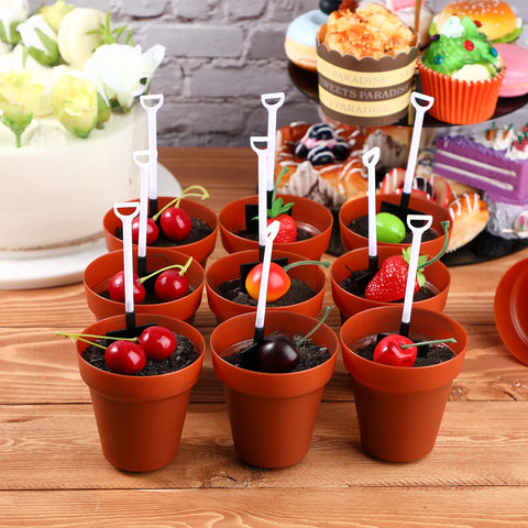Patelai opened box with 50 pots and 50 spoons indicating bulk convenience