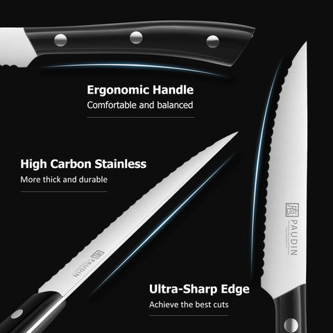 PAUDIN close-up of serrated high-carbon stainless blade showing sharpness and durability