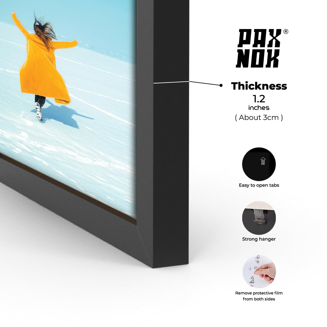PAXNOK displayed in a living room providing stylish decor and instant focal point