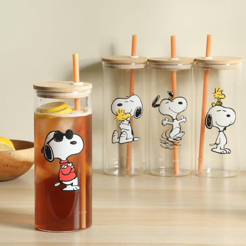Peanuts snoopy lifestyle kitchen counter showing decorative collectible appeal