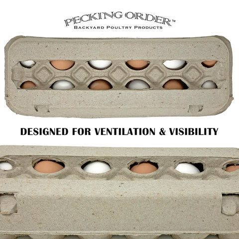Pecking Order open carton holding a dozen eggs demonstrating secure transport benefit