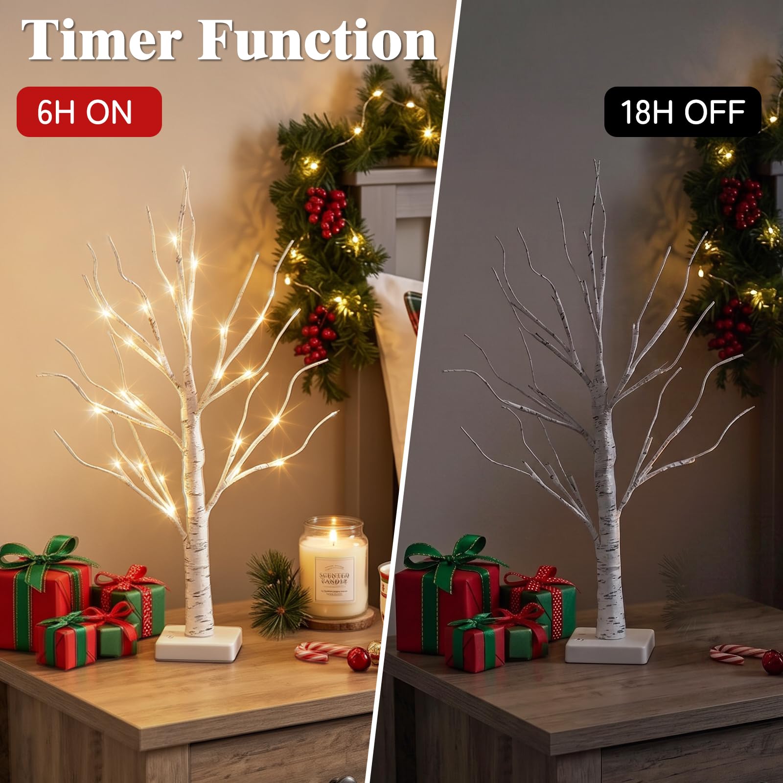 PEIDUO birch tree next to ruler illustrating 2-foot height and tabletop scale for placement