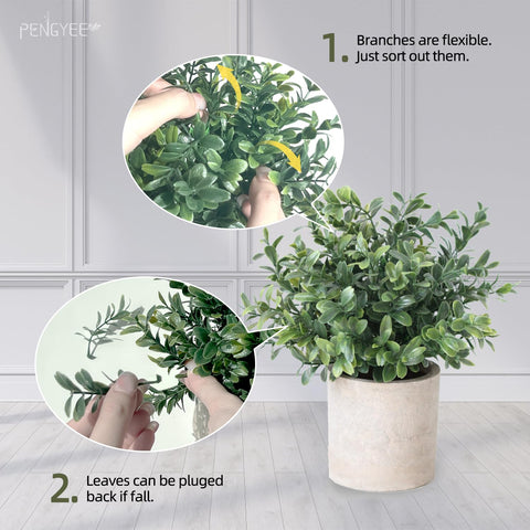 PENGYEE on an office desk delivering instant green decor without care