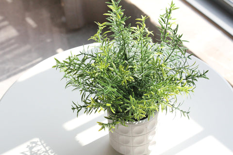 PENGYEE side profile showing pot shape and textured finished appearance