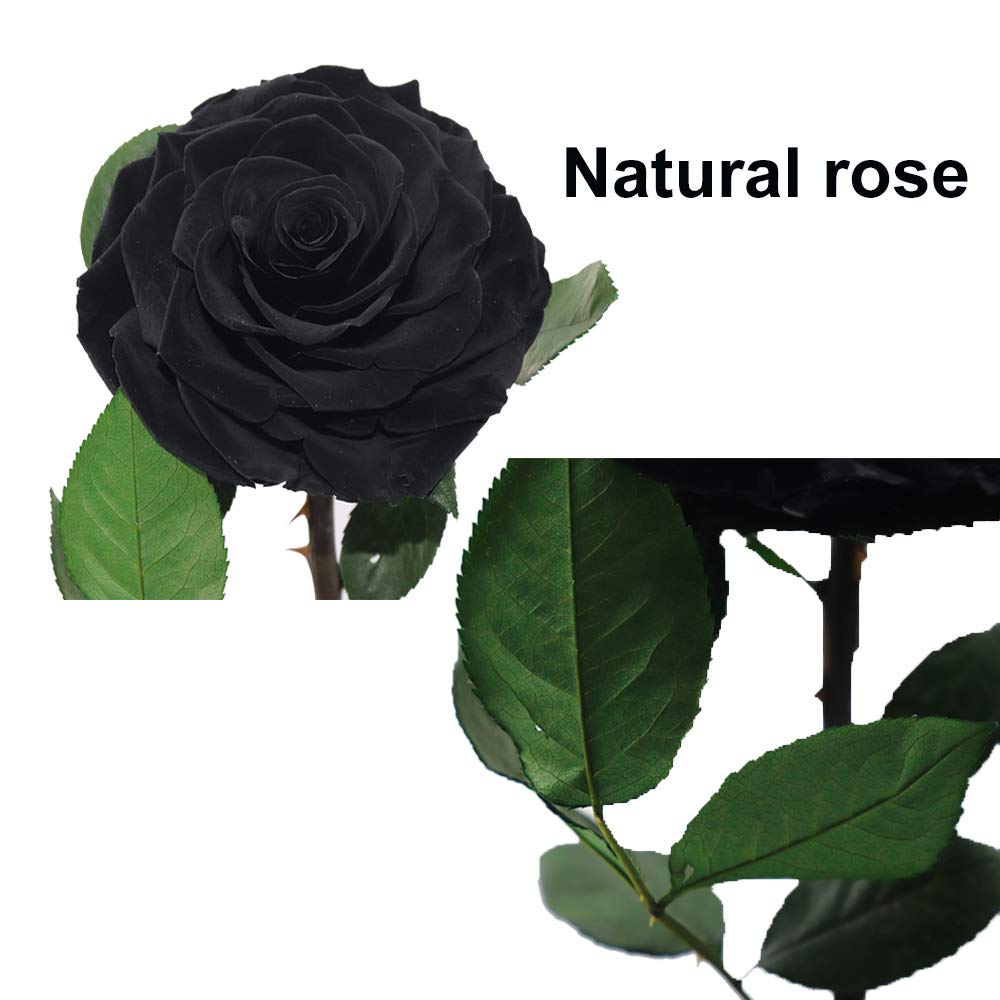 Perfectione Roses dome in a gift setting on table showing presentation-ready design benefit