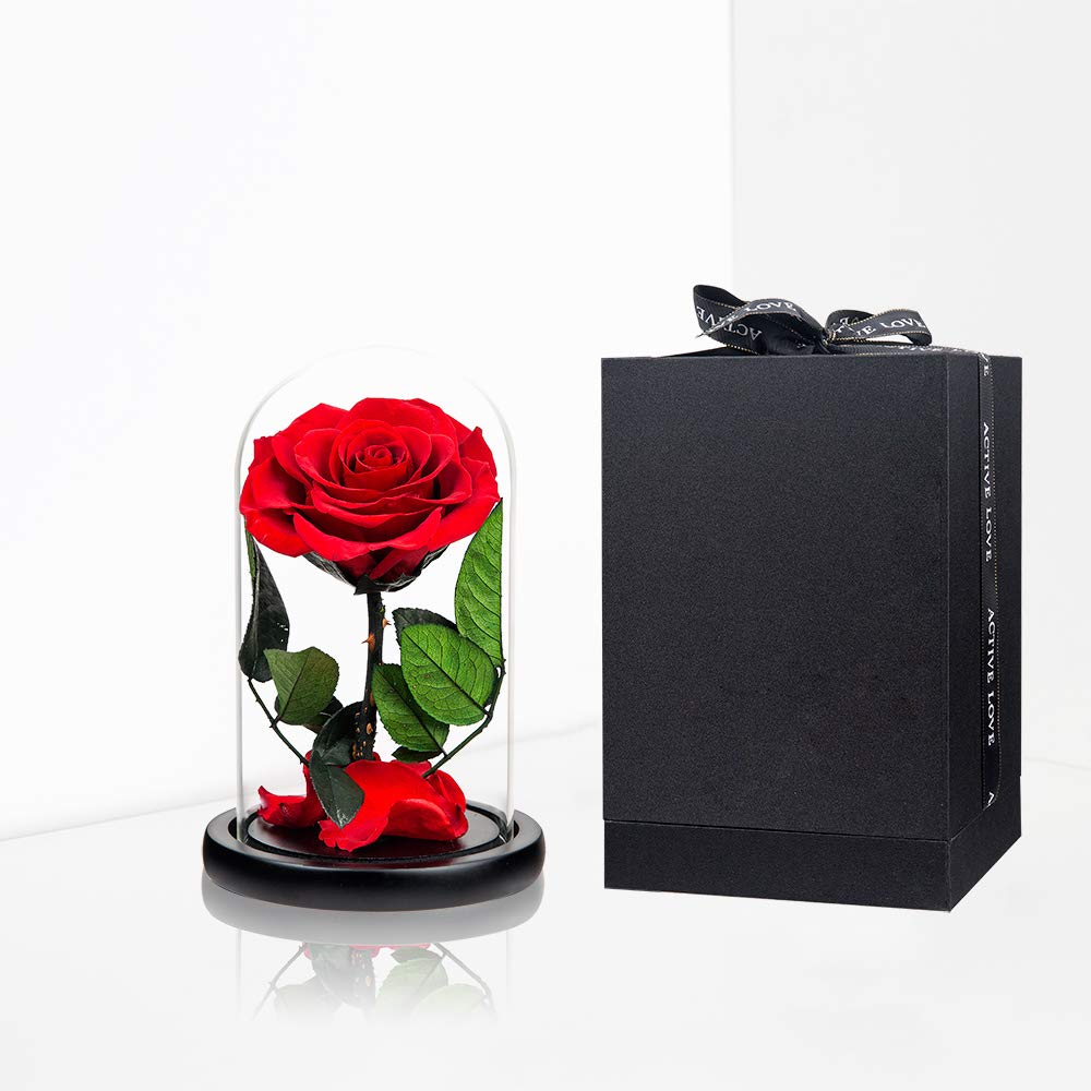 Perfectione Roses medium size held in hand showing scale and easy display suitability