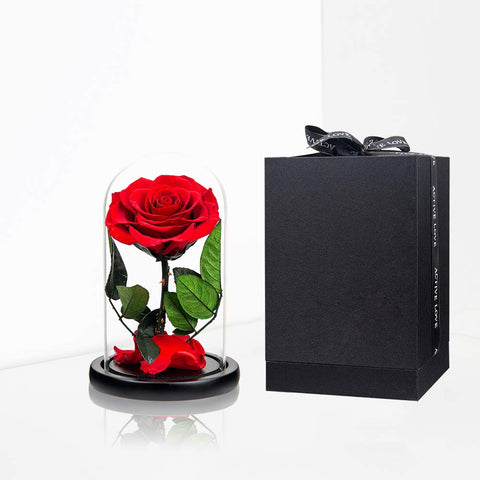 Perfectione Roses medium size held in hand showing scale and easy display suitability