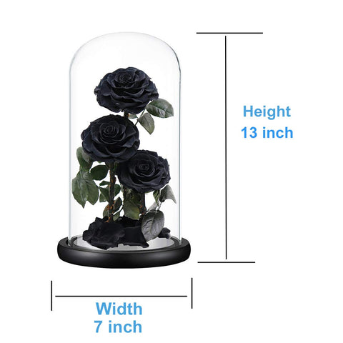 Perfectione Roses dome held in hand for scale showing 13-inch size and decorative impact benefit