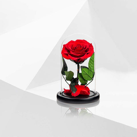 Perfectione Roses wooden base and label detail highlighting handcrafted finish and premium presentation