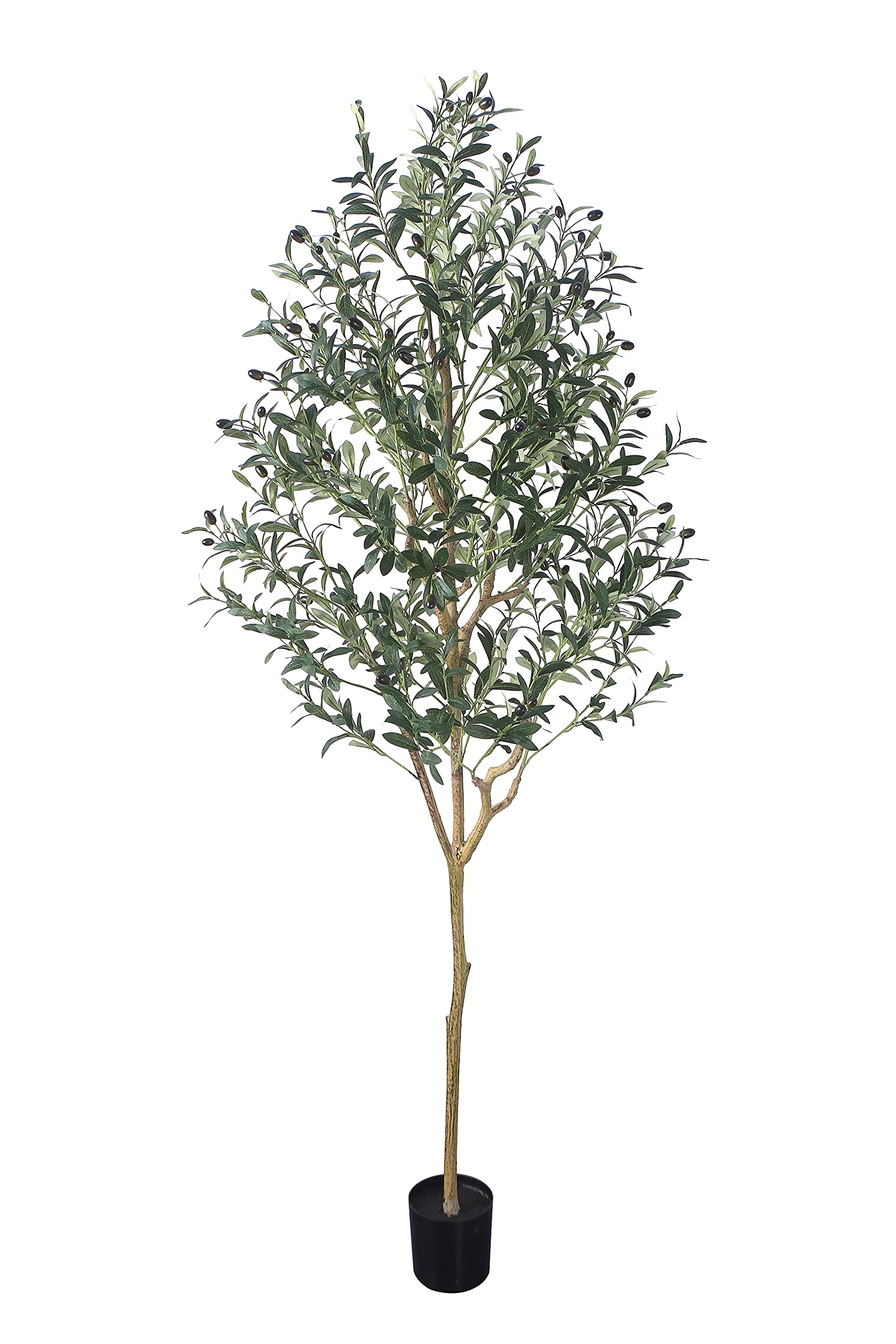Phimos front view of full-height artificial olive tree showing lifelike presence