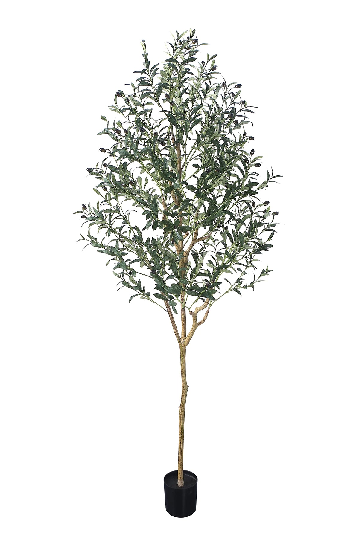 Phimos front view of full-height artificial olive tree showing lifelike presence