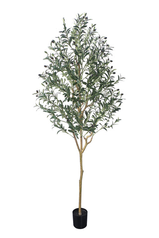 Phimos front view of full-height artificial olive tree showing lifelike presence