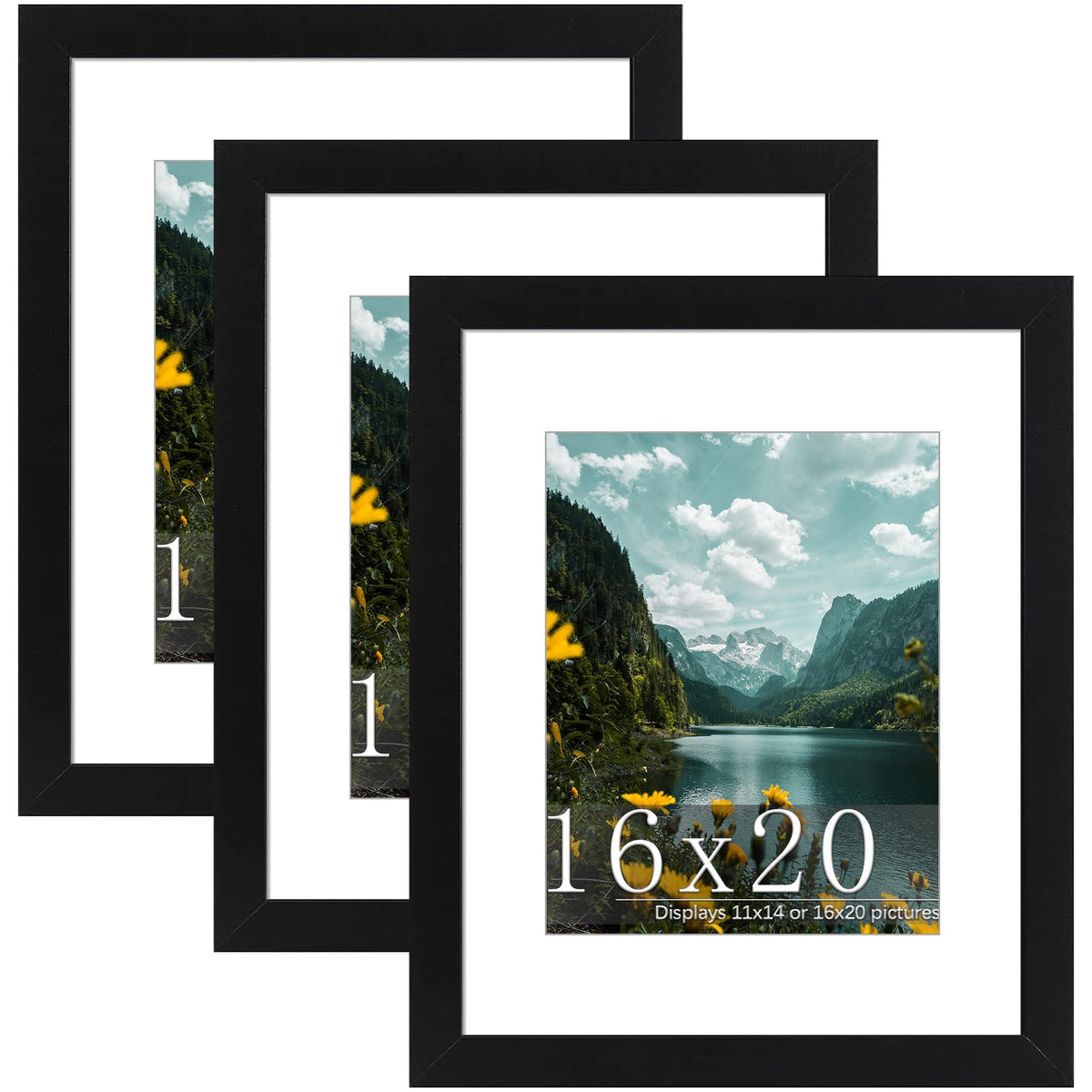 Picrit front view of 16x20 frame showing clean black border and polished look
