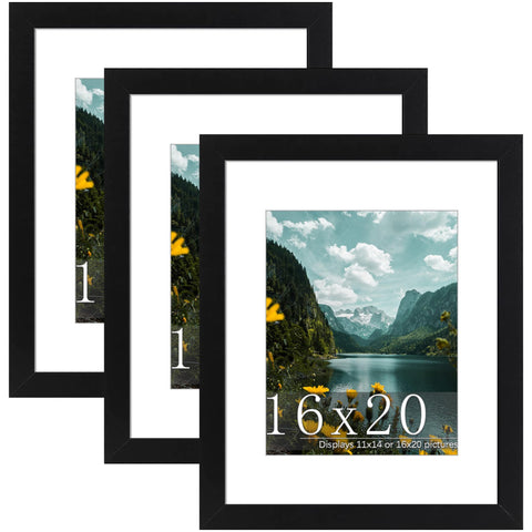 Picrit front view of 16x20 frame showing clean black border and polished look
