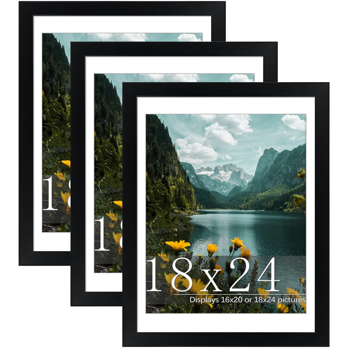 Picrit front view of black 18x24 frame showing sleek matte finish and clean border