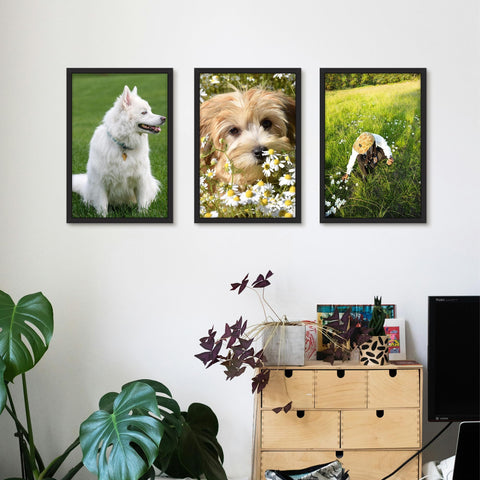 Picrit frame hung horizontally displaying a large photo for versatile styling