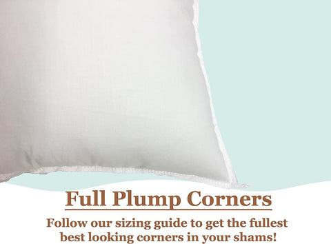 Pillowflex next to ruler showing accurate 15x15 size for correct fit