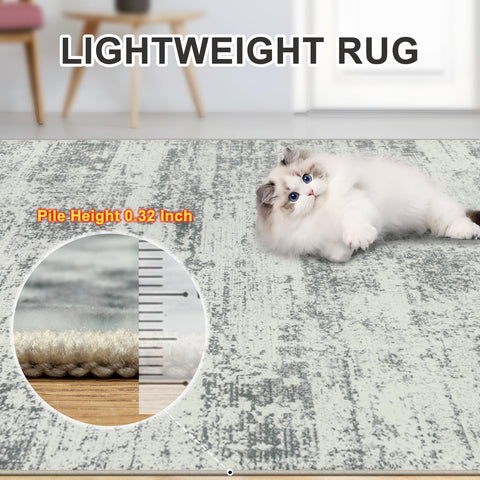 PLHXFR rug placed under dining table showing protection and easy coordination