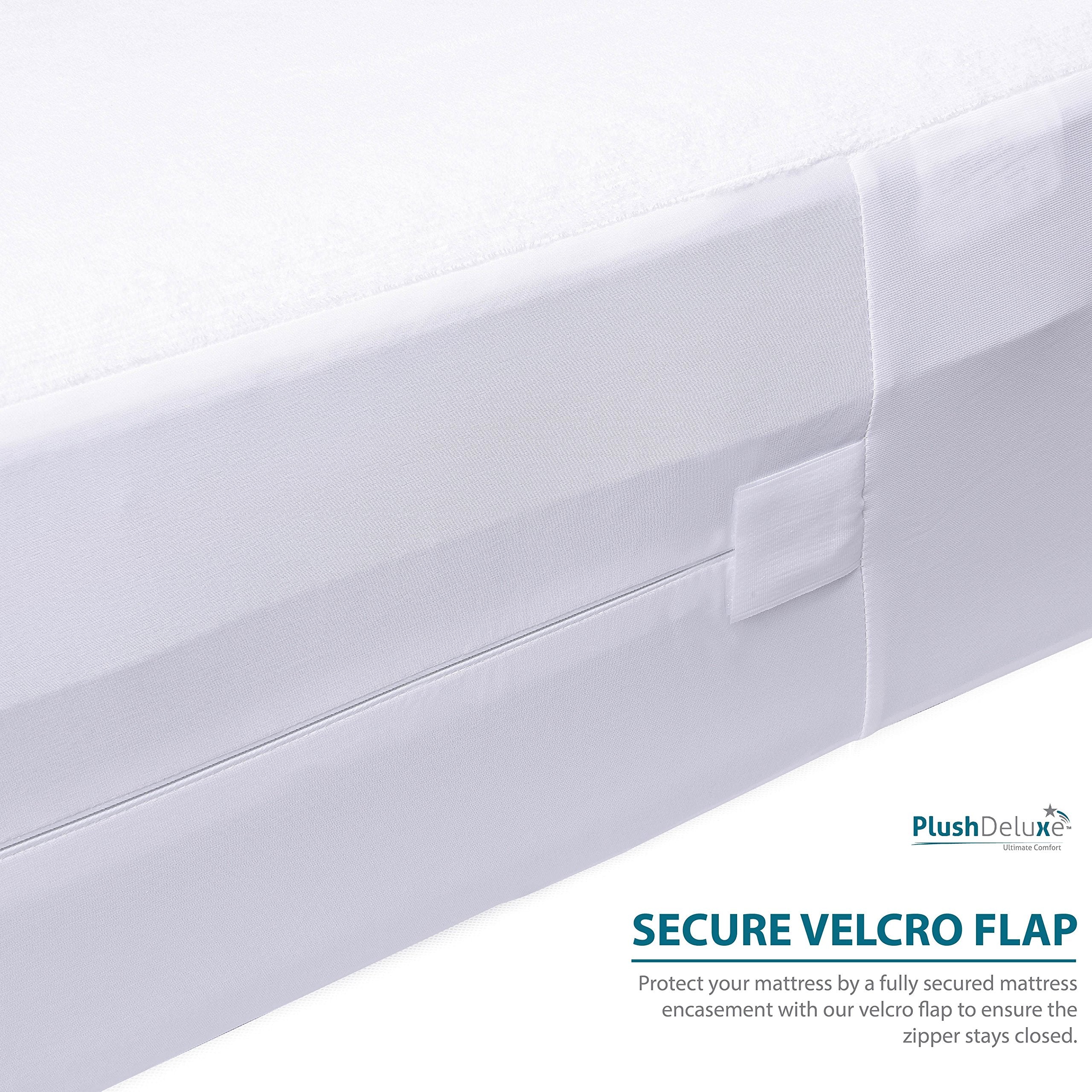 PlushDeluxe beside ruler showing twin size fit and scale accuracy