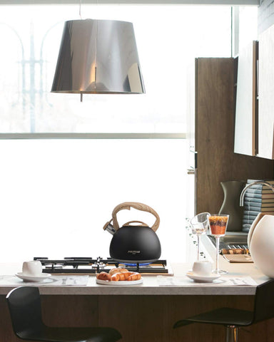 POLIVIAR kettle in kitchen for everyday convenient boiling