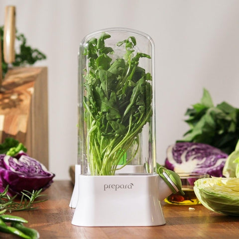 Prepara Herb Savor Eco close-up of clear dome protecting leaves, prevents bruising