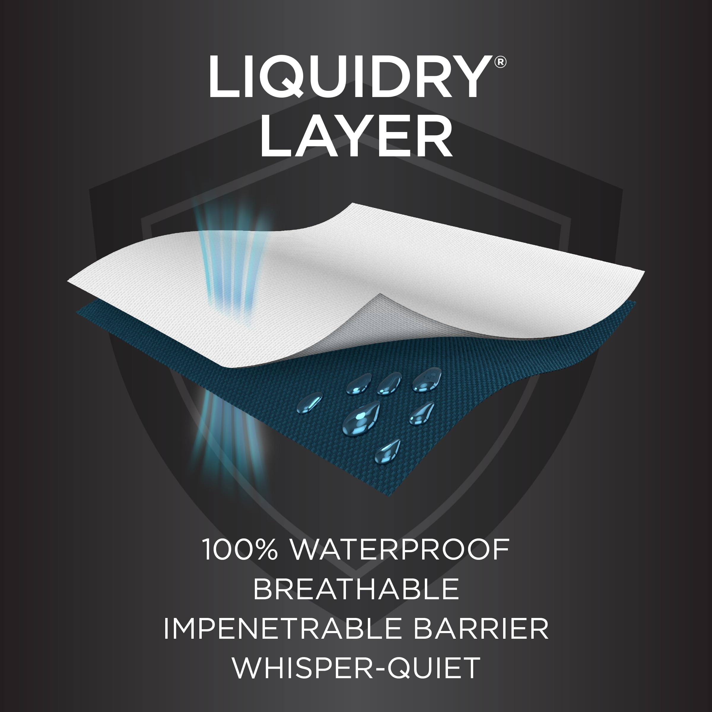 Protect-A-Bed protector next to standard pillow to show scale