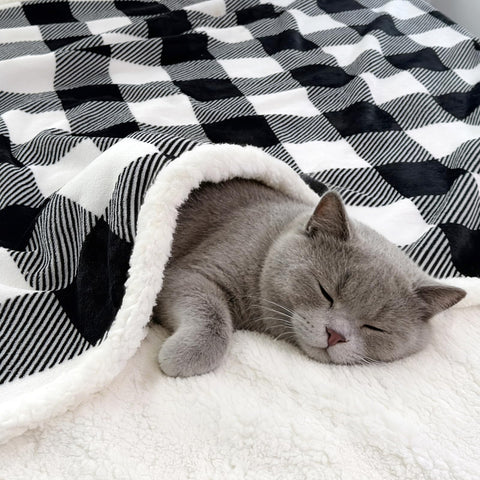 PU MEI folded blanket next to ruler illustrating 60x80 size for full coverage