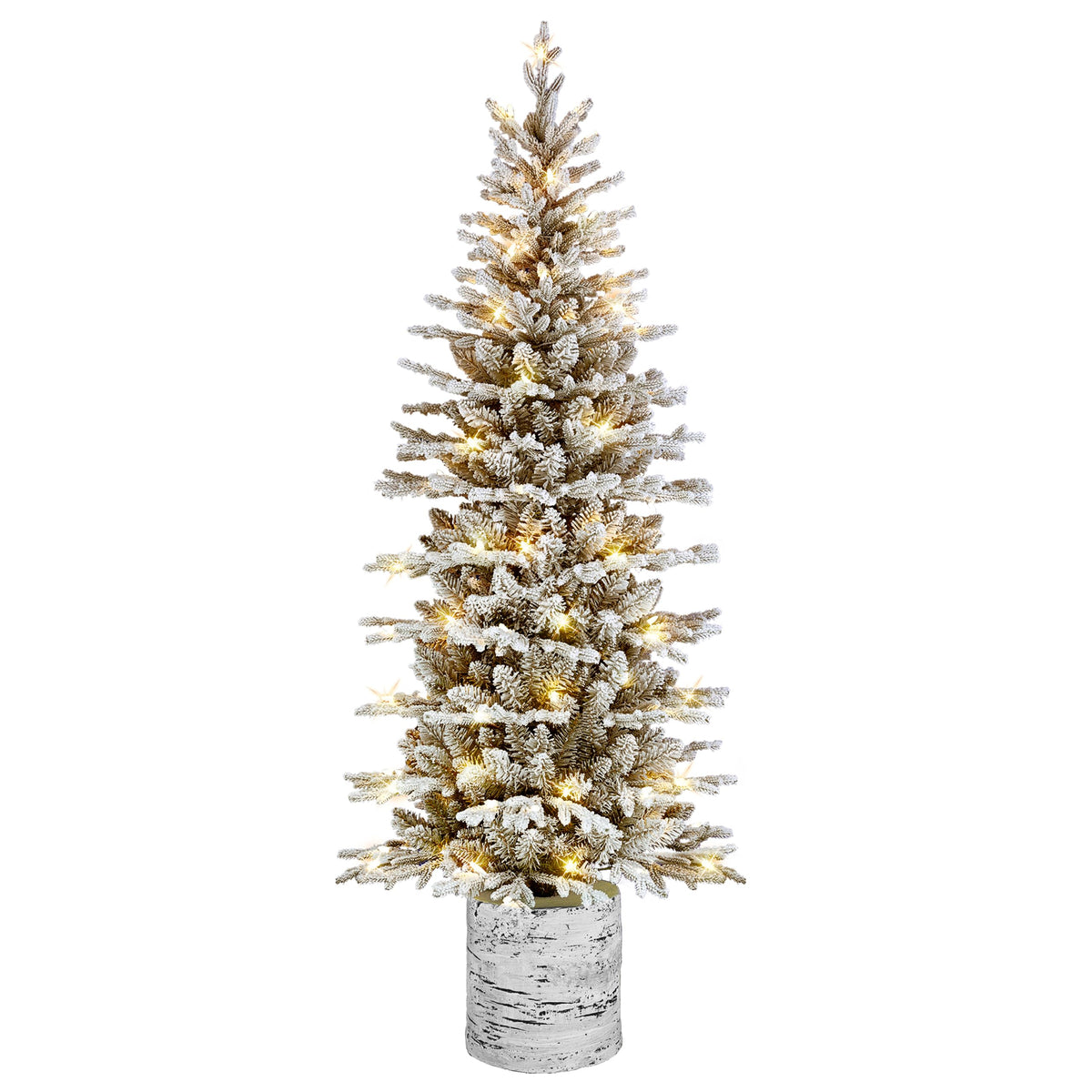Puleo International front view of potted pencil tree showing slim profile and cozy decor