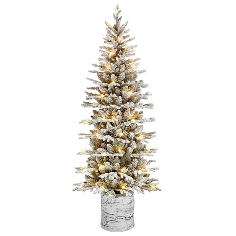 Puleo International front view of potted pencil tree showing slim profile and cozy decor