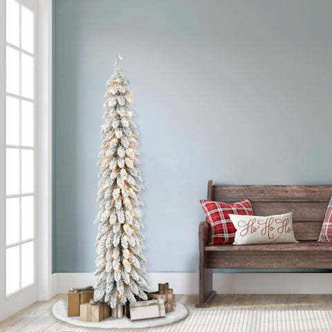 Puleo International lit tree glowing in evening showing warm illumination and cozy ambiance
