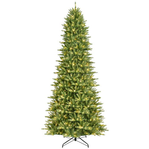 Puleo International front view showing slim Fraser fir and tall presence