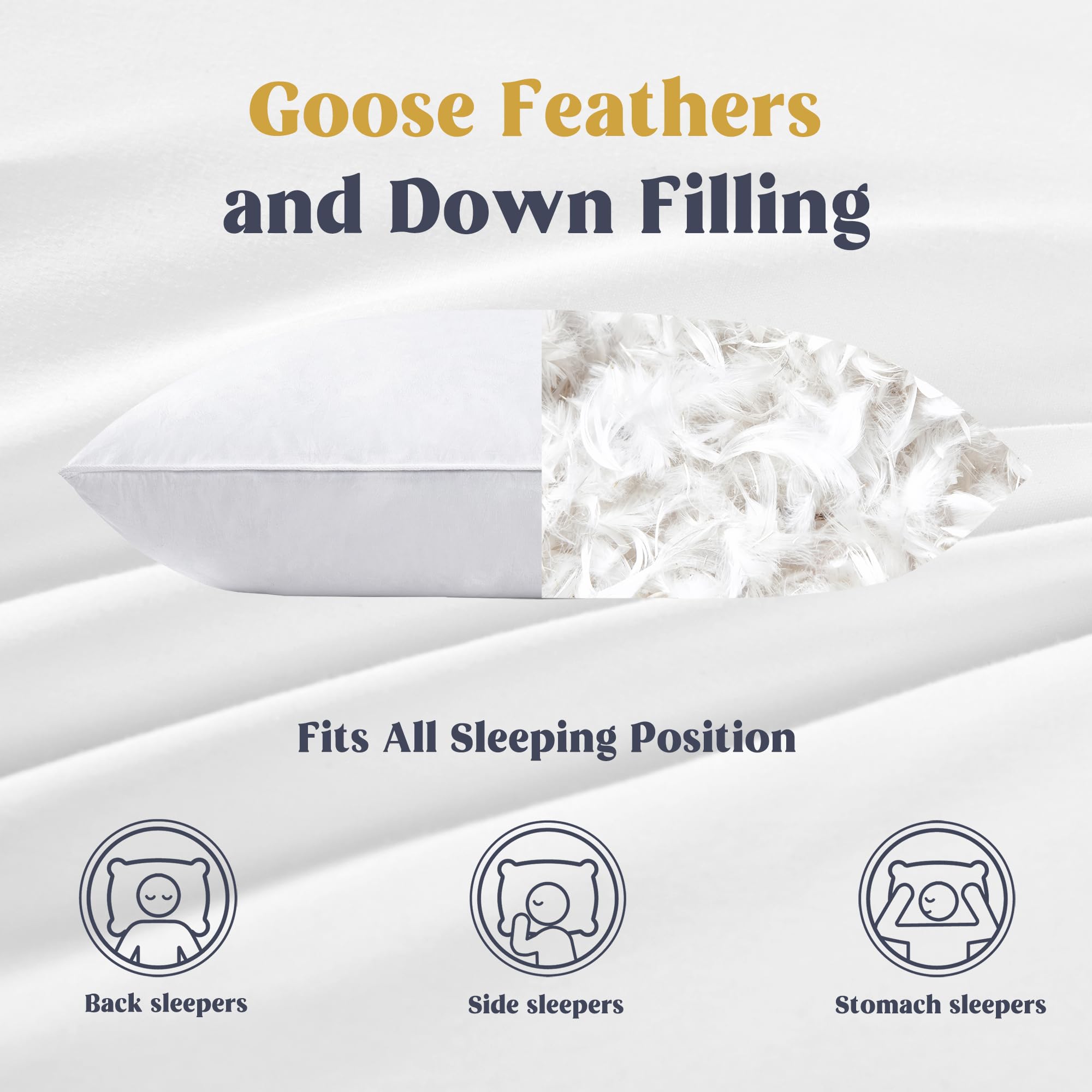 puredown detailed view of goose down and feathers fill showcasing natural loft and support