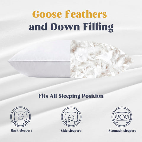puredown detailed view of goose down and feathers fill showcasing natural loft and support