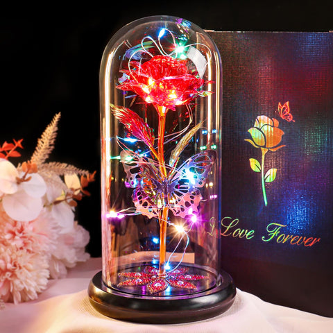 Pusuny glass dome top angle demonstrating protective cover and shine