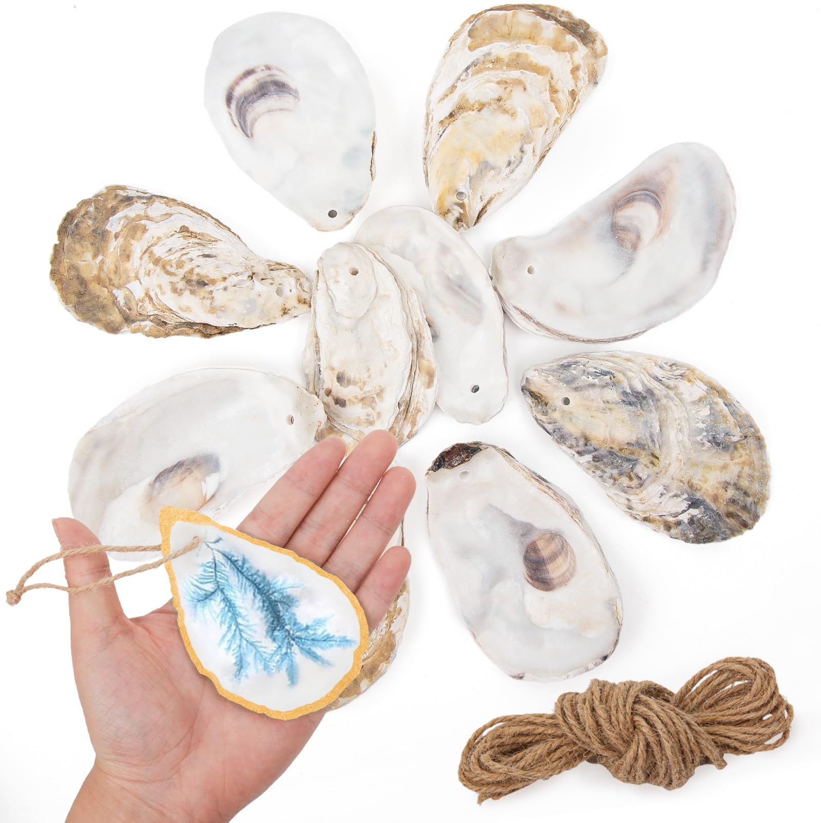 QEQEKAKA front view of 25-shell kit showing packaging and contents, perfect for crafting