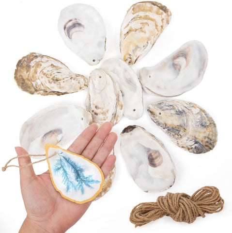 QEQEKAKA front view of 25-shell kit showing packaging and contents, perfect for crafting