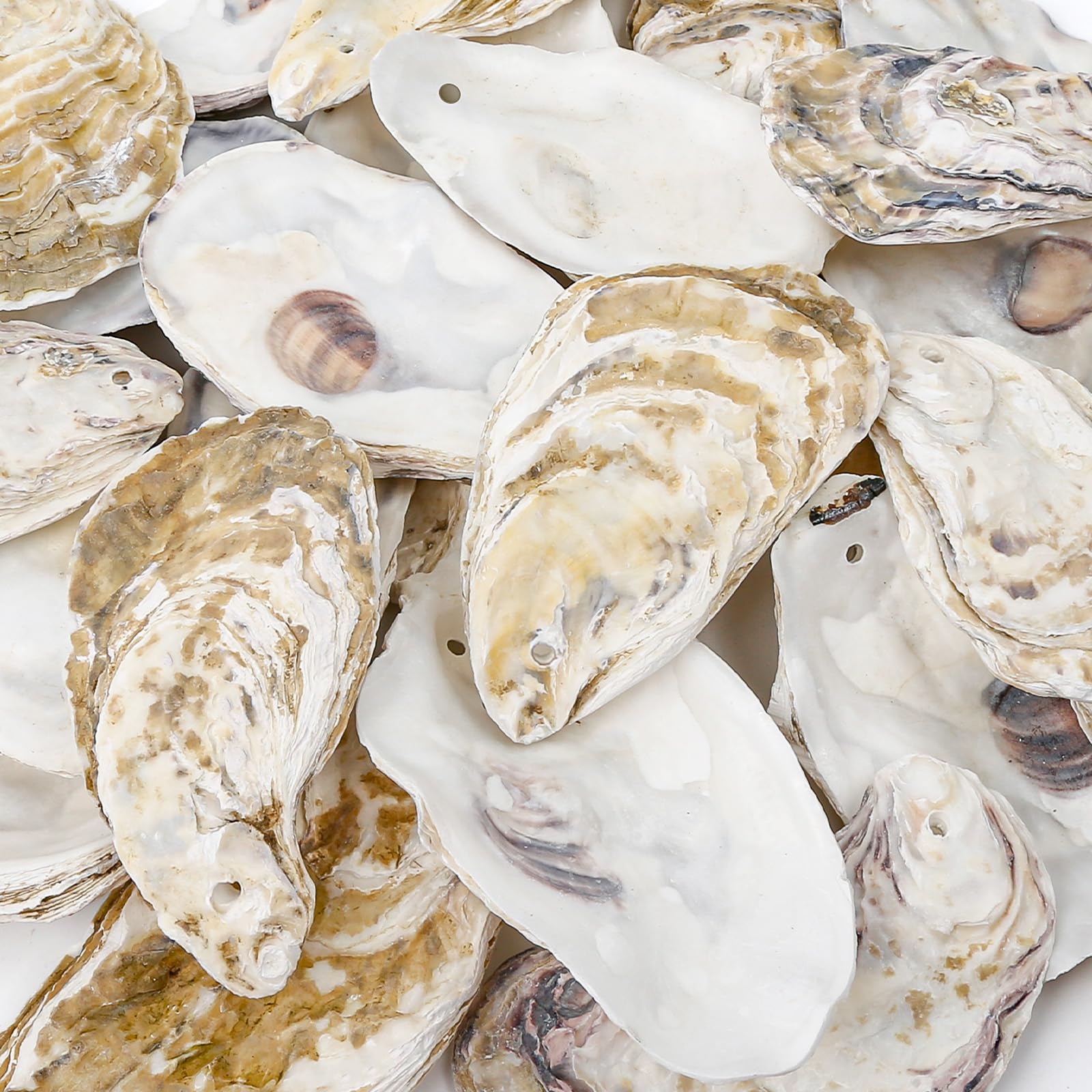 QEQEKAKA tabletop display of shells used as centerpiece showing decor inspiration