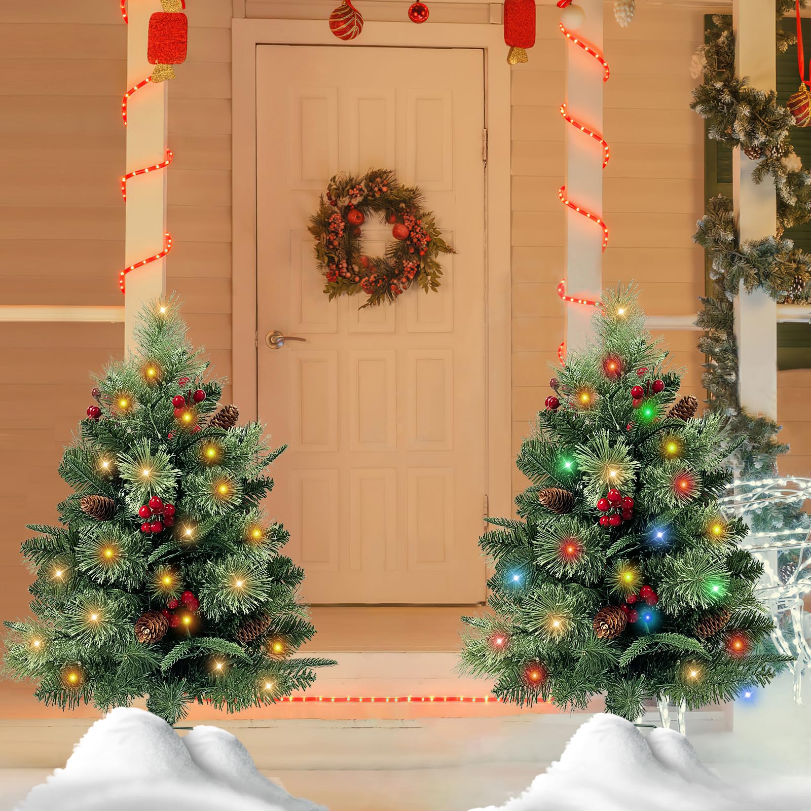QIANF tree beside a front door demonstrating compact 30 inch scale