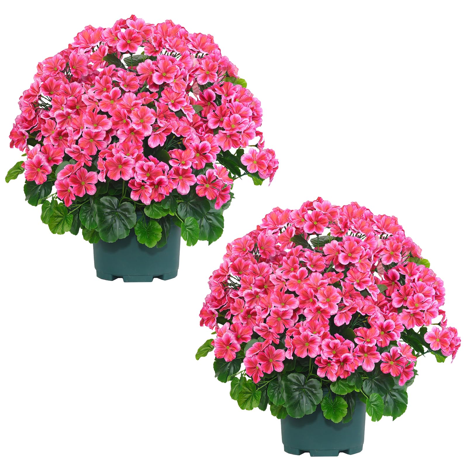 QIANYUN front view of two potted geraniums showing curb appeal