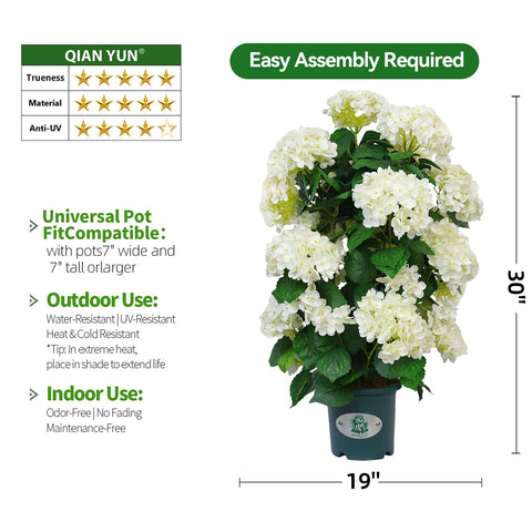 QIANYUN hydrangea staged on porch demonstrating instant curb appeal and low maintenance