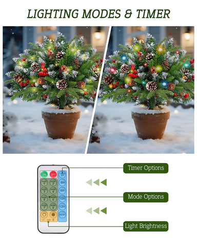 QULUXAO remote with battery box showing easy mode and timer control