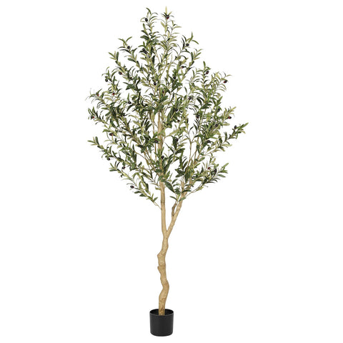 REALEAD 6ft olive tree front view showing full height and realistic foliage benefit: instant decor