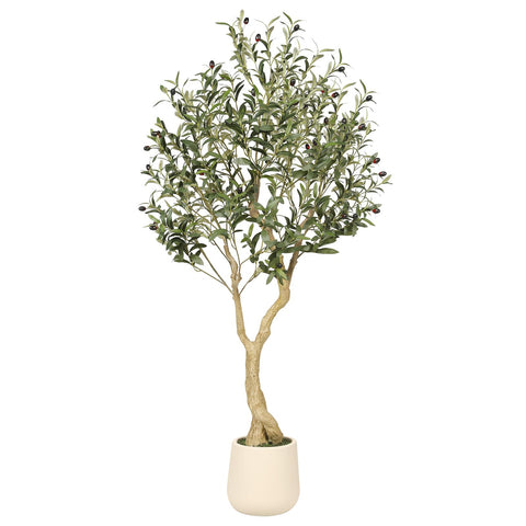 REALEAD front view of 5ft olive tree with white planter shows elegant height and balance