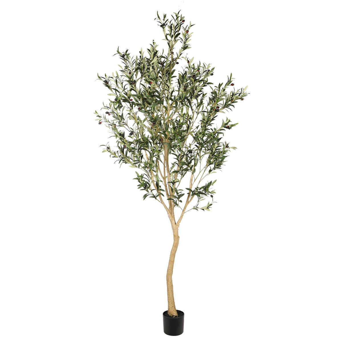 REALEAD faux olive tree front view showing full 8ft presence and visual impact