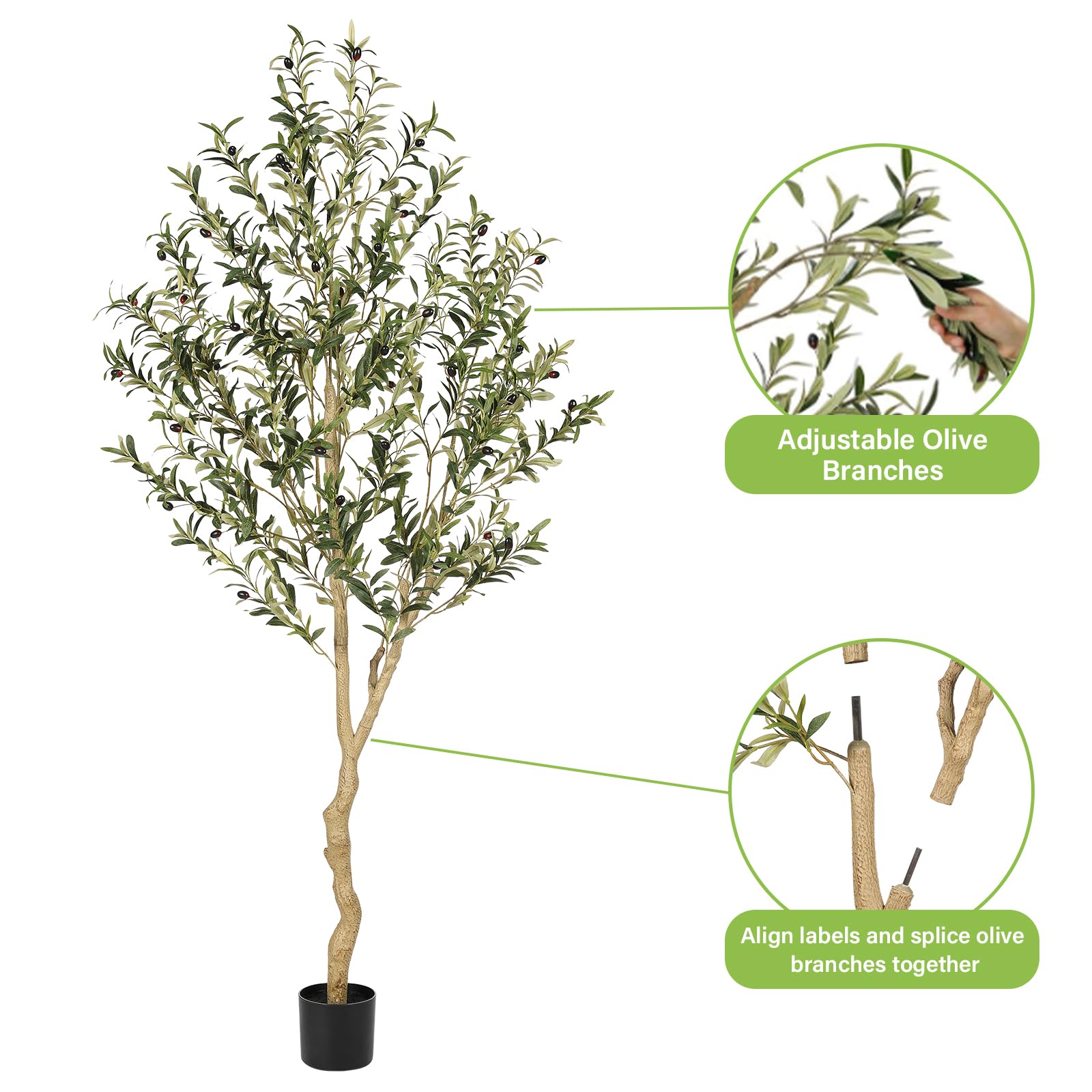 REALEAD olive tree staged in living room benefit: adds Mediterranean style effortlessly