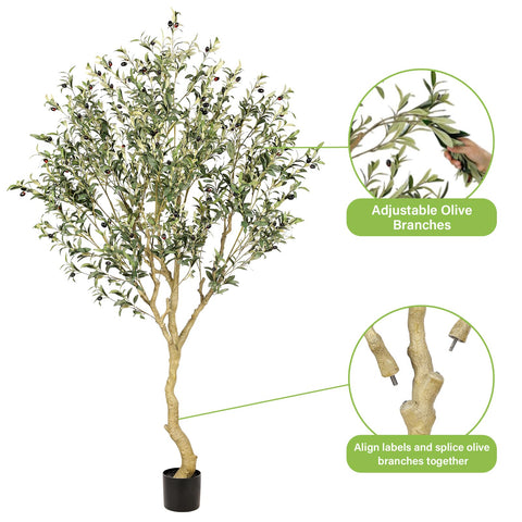REALEAD olive tree in living room adding Mediterranean style and calm